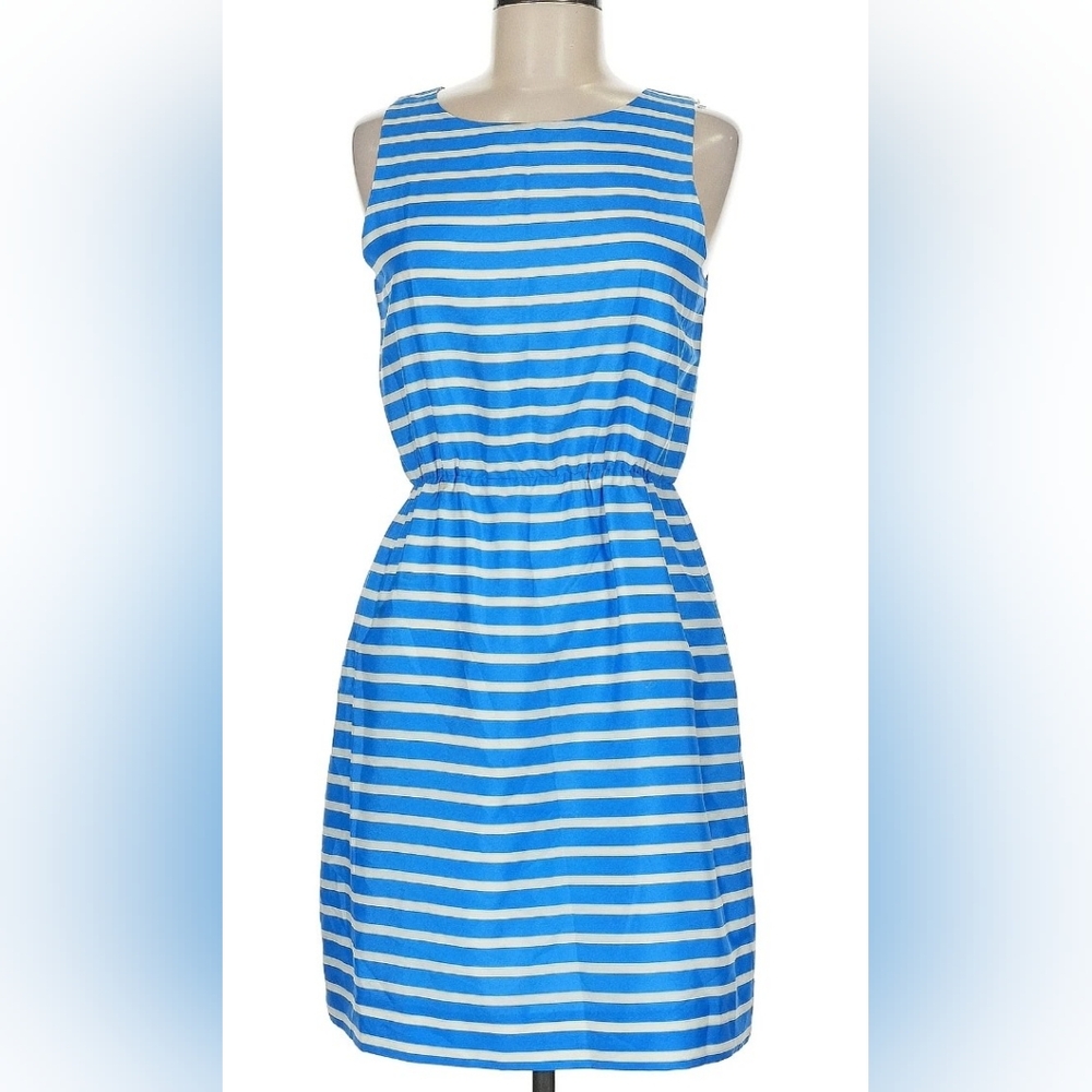 J.Crew Royal Blue Fit And Flare Size L
